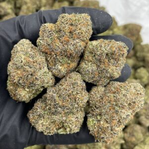 sour gumbo strain