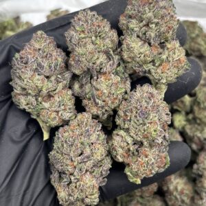 strawberry jammerz strain