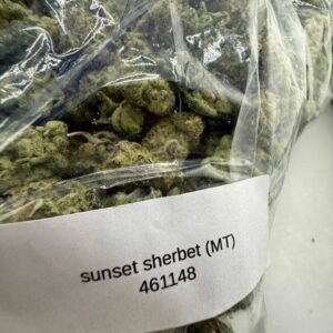 sunset sherbet strain