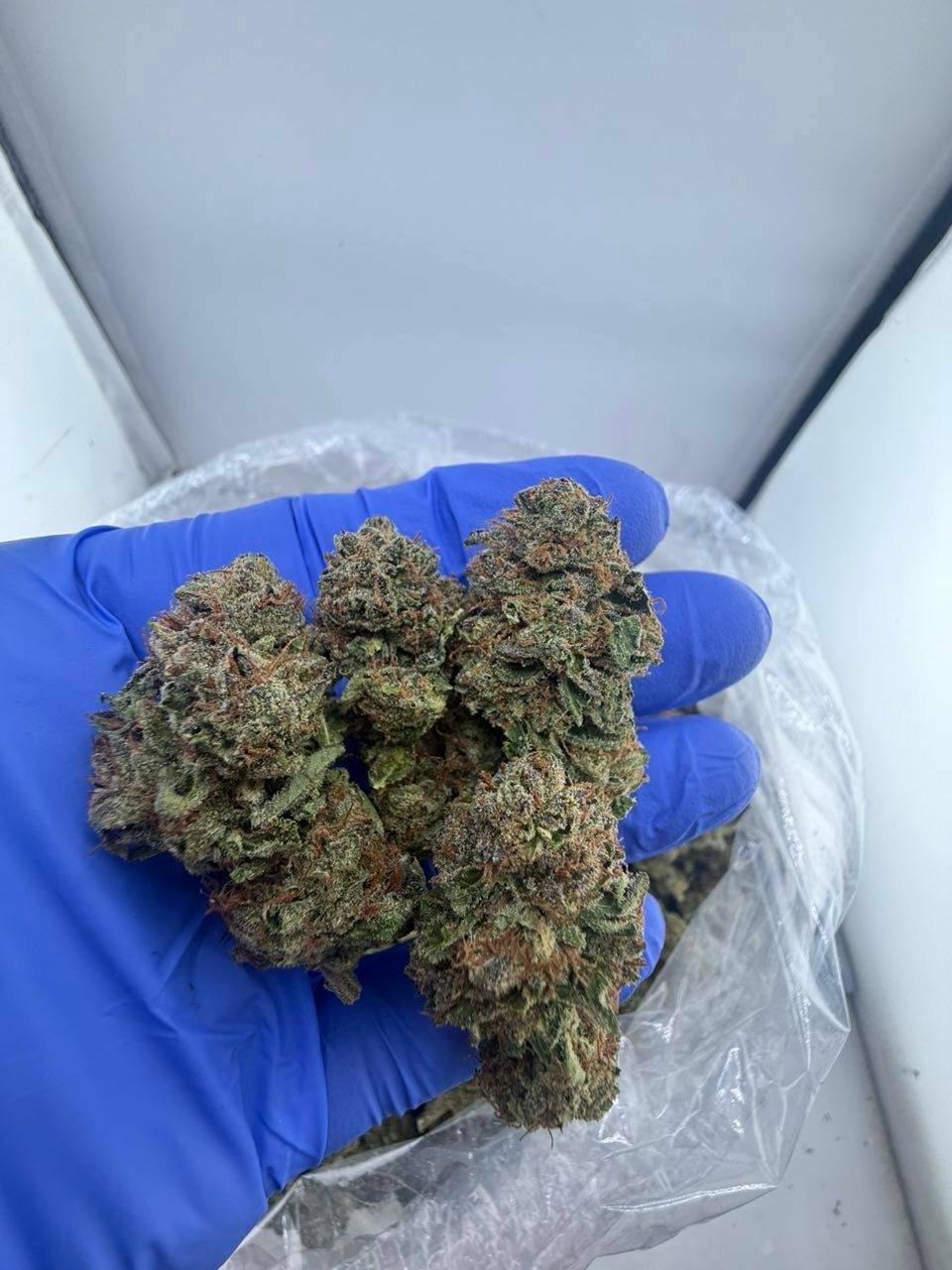 24k strain 24k strain
