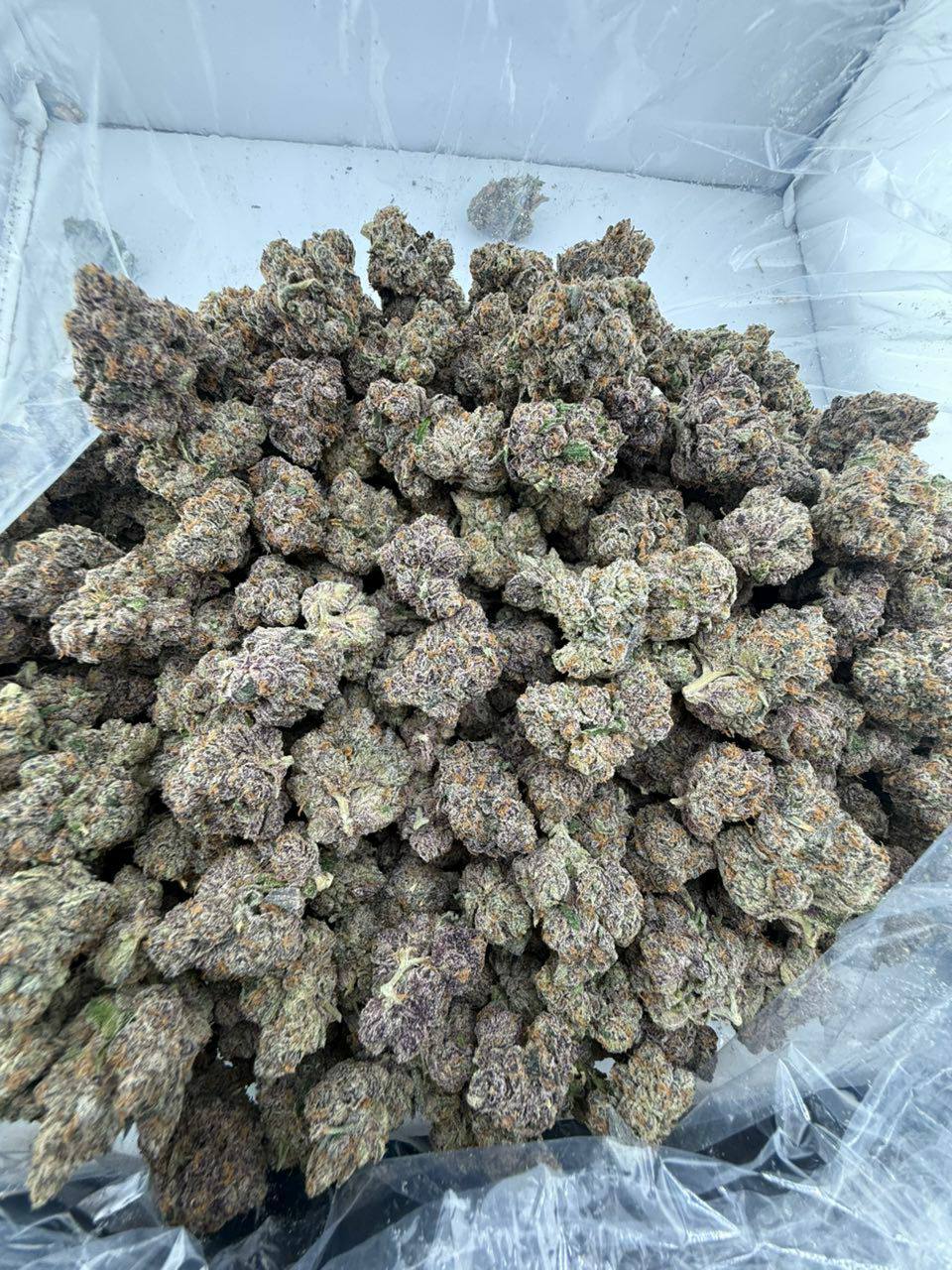 cherry taffy strain cherry taffy strain