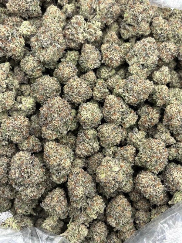 cupcake strain cupcake strain