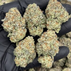 cupcake strain