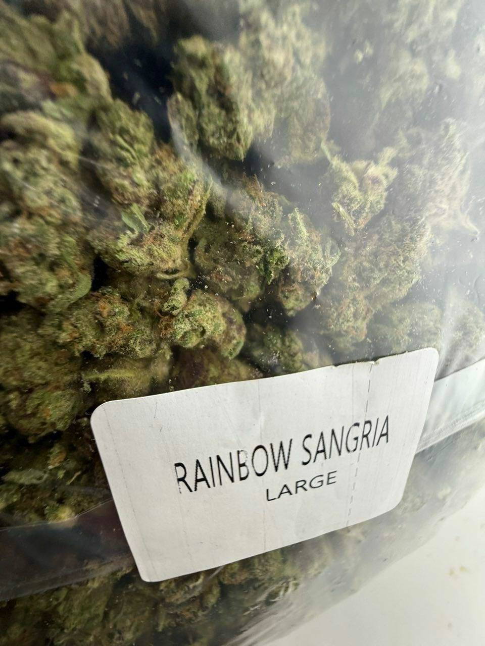 rainbow sangria strain rainbow sangria strain